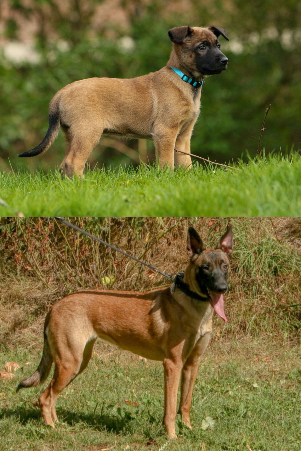 Ontwerp zonder titel (4)