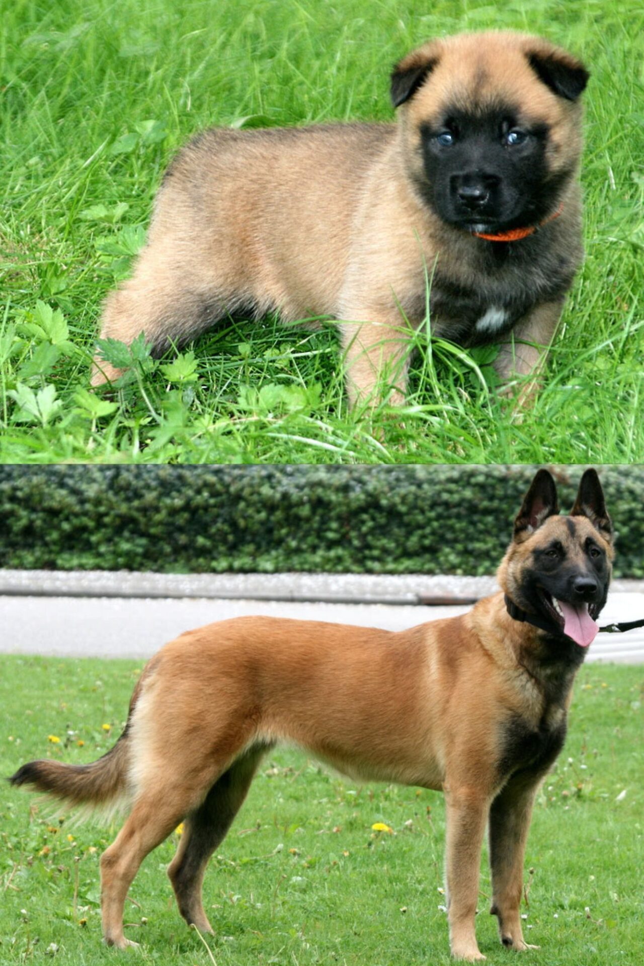 Ontwerp zonder titel (5)