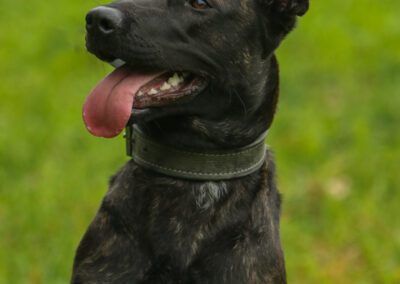 Dizzy 8 maanden (17)