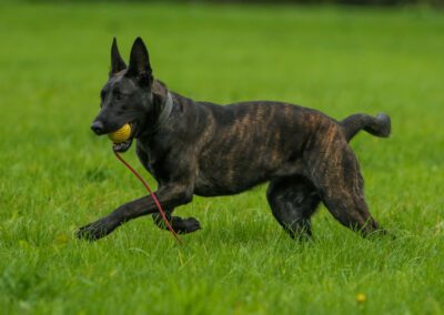 Dizzy 8 maanden (19)