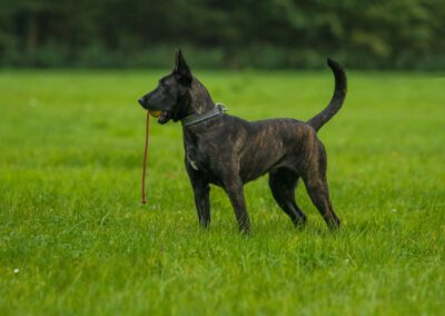 Dizzy 8 maanden (20)