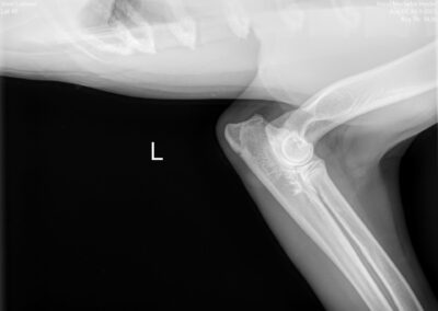 00004168_00076911_DICOM_DX_2025_09_30_0000151444