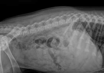 4b14b41f-1173-4b51-aa47-a0987c6f3604_00004168_00076748_dicom_dx_2025_09_03_0000150671