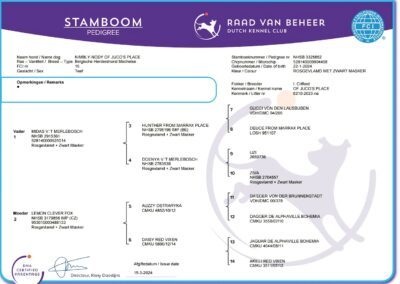 Screenshot_20251128_191133_Chrome