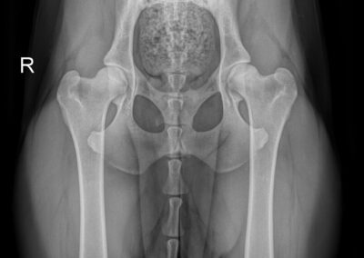 ac315fdf-ba56-4982-97ce-2f44419686f1_00004168_00076831_dicom_dx_2025_09_19_0000151138