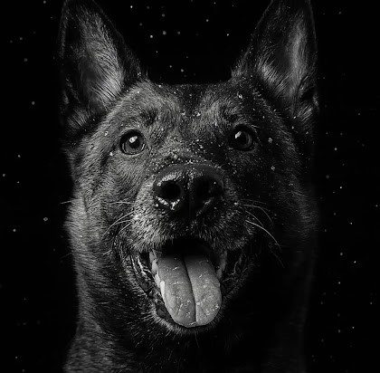 Screenshot_20260423_122603_Instagram