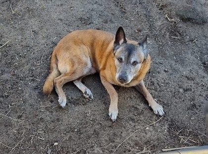 Screenshot_20260423_161634_Facebook